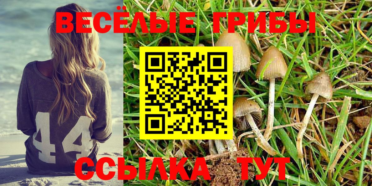 Псилоцибиновые грибы мухоморы  Псилоцибиновые грибы прущие грибы  Вход с VPN  Кашира 