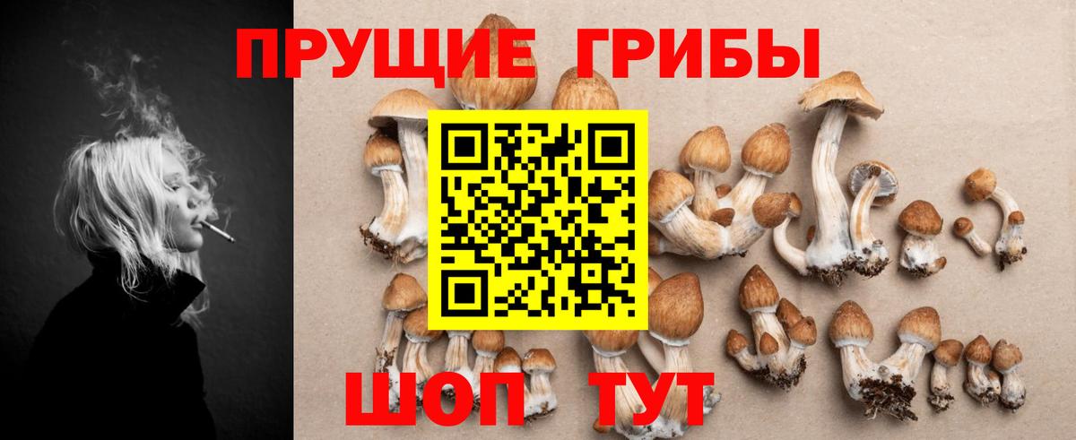 Псилоцибиновые грибы GOLDEN TEACHER Кашира