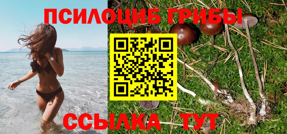 АМФЕТАМИН кристаллы  Бошки Шишки  ГАШИШ  Кашира  Вход с VPN  Мефедрон  Меф МЯУ МЯУ   LSD-25  COCAIN  Codein  Alpha-PVP СК  